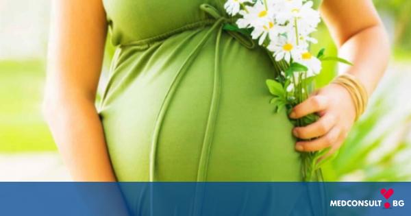 Вагинални секрети по време на бременност