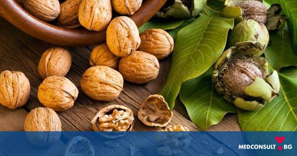 7 сурови ореха на ден за здраве и дълголетие