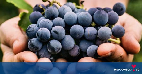Екстрактът от гроздово семе предпазва организма от заболявания