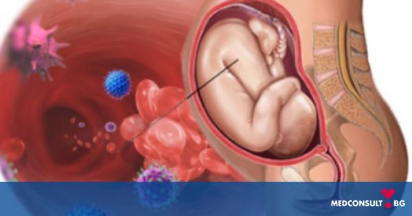 Цитомегаловирус - най-честата инфекция по време на бременност
