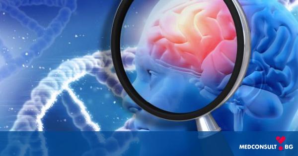 Учените разработват все повече медикаменти за лечение на неврологични заболявания