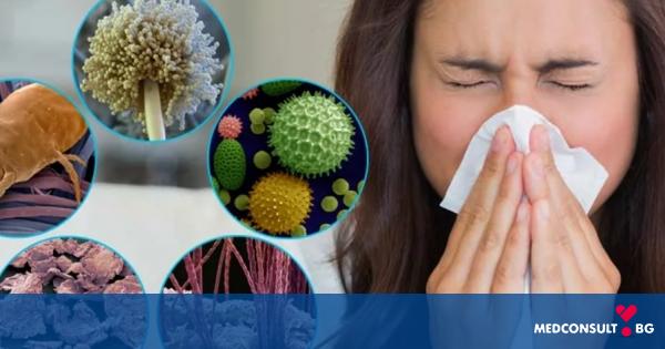 Световен ден за борба с алергиите