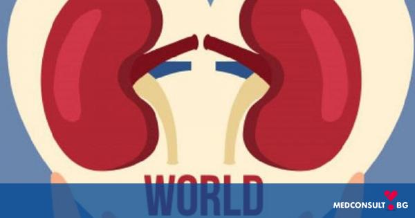 11 март - Световен ден за борба с бъбречните заболявания