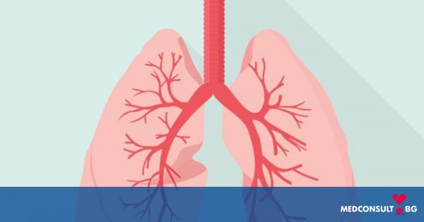 Бронхитът е едно от най-честите заболявания на дихателната система